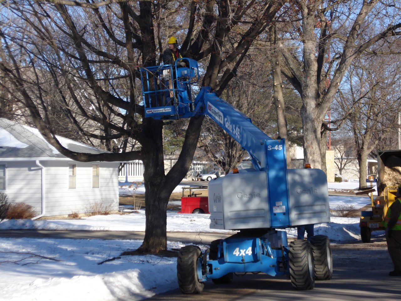 City Crew in the Trees